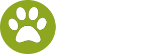 Good Doggy